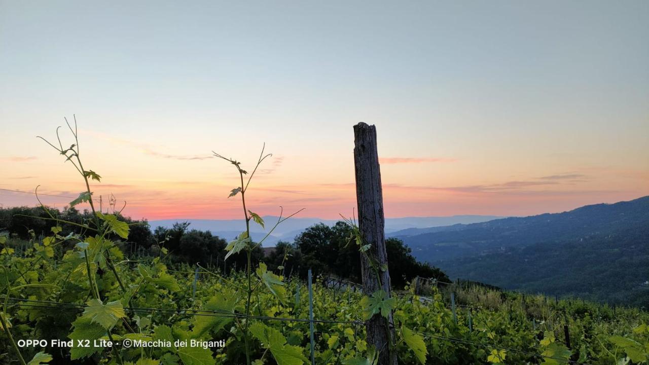 Agriturismo Macchia Dei Briganti - B&B Montefalcione Eksteriør billede