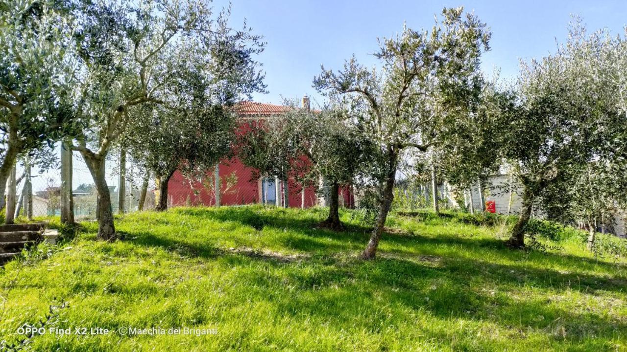 Agriturismo Macchia Dei Briganti - B&B Montefalcione Eksteriør billede
