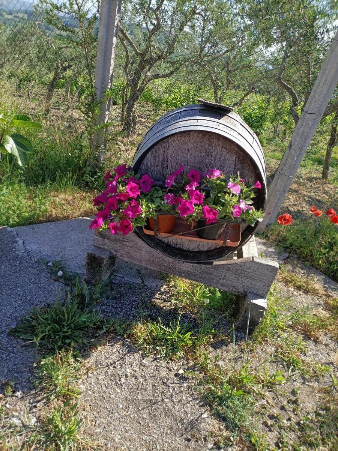 Agriturismo Macchia Dei Briganti - B&B Montefalcione Eksteriør billede