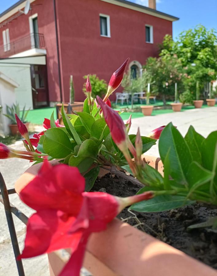 Agriturismo Macchia Dei Briganti - B&B Montefalcione Eksteriør billede